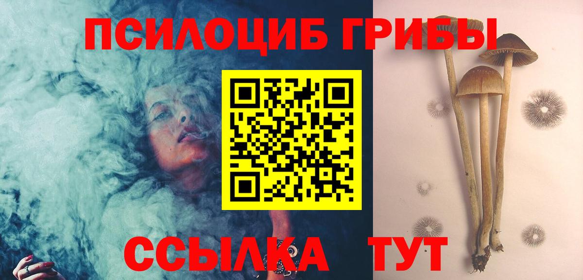 Галлюциногенные грибы MAGIC MUSHROOMS Острогожск